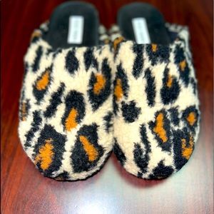 Cheetah Slides